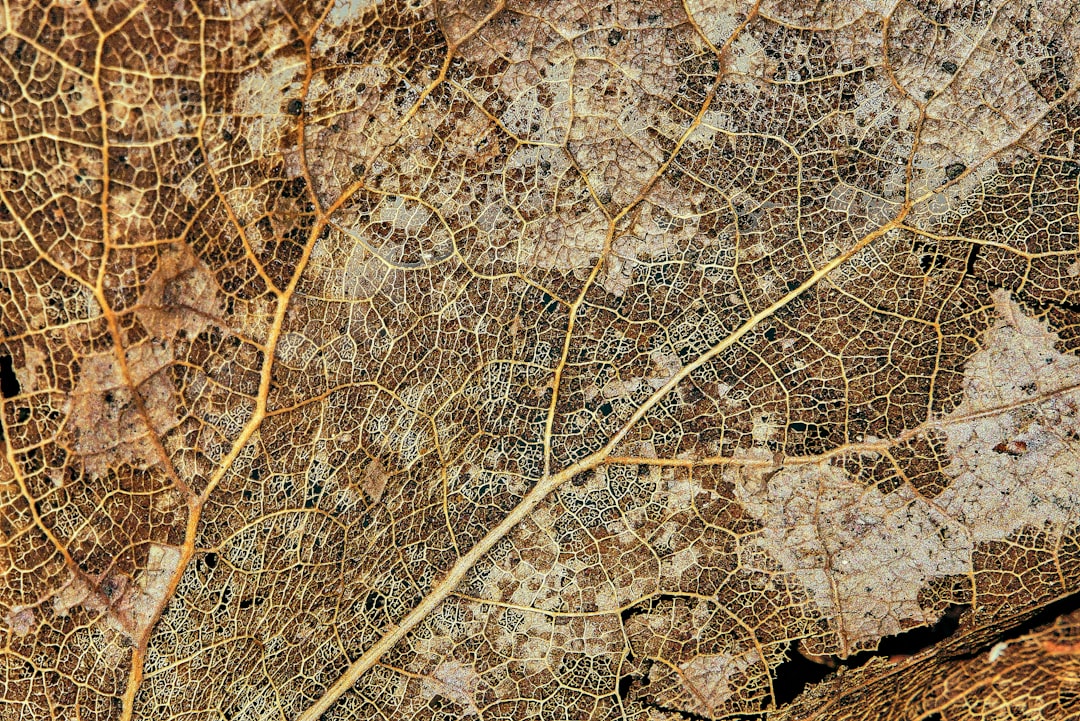 IA en Análisis Urbano